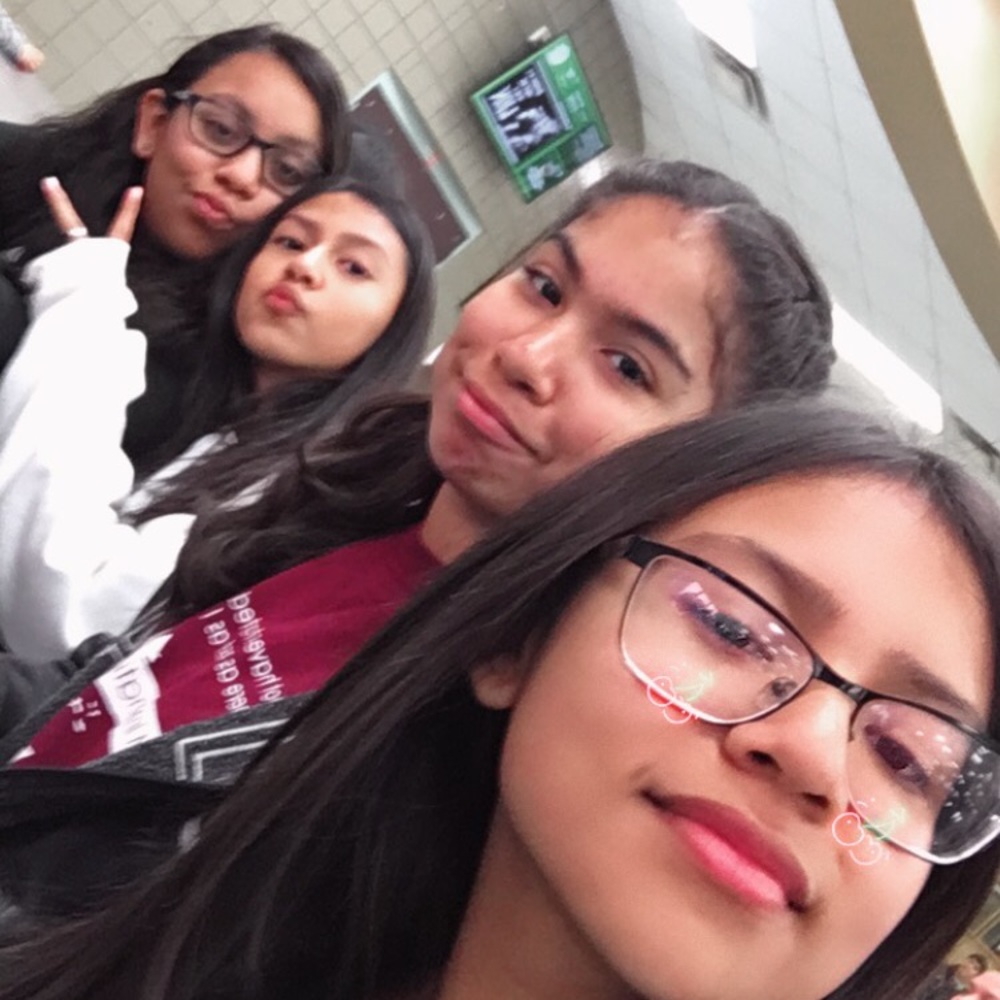 Meet your Posher, Edith